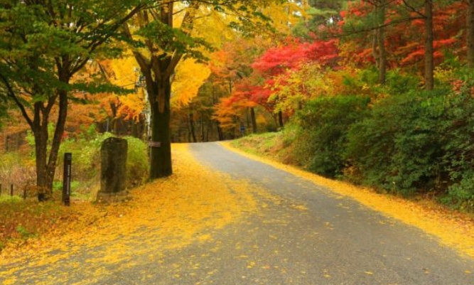 2025 무등산 단풍 절정시기 확인! 가을 BEST 등산코스 완전 정복