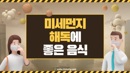 미세먼지 해독에 좋은 식품