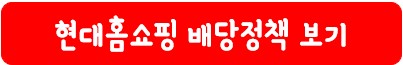 현대홈쇼핑 배당 정책