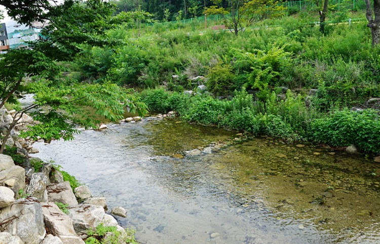 송추계곡_01