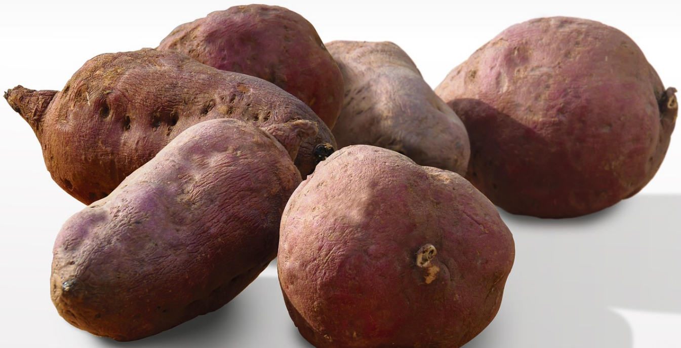 재벌돌 애니의 다이어트 날씬한 몸매 비결