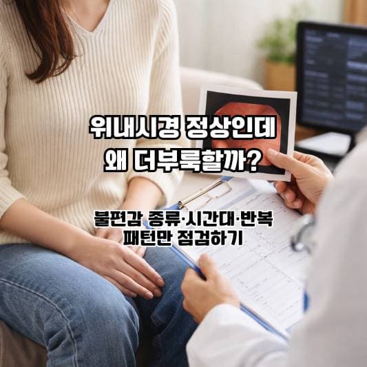 위장 검사는 정상인데 식후 더부룩함이 남아 있는 상황을 차분히 정리하는 썸네일