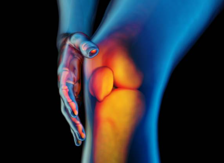 무릎 안쪽 통증