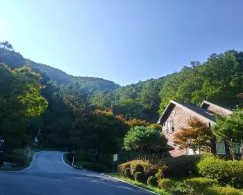 국립자연휴양림 성수기 추첨 신청 예약_2