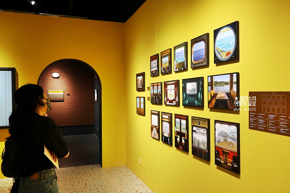 우연히 웨스 앤더슨 전시 추천, 그라운드 시소 성수