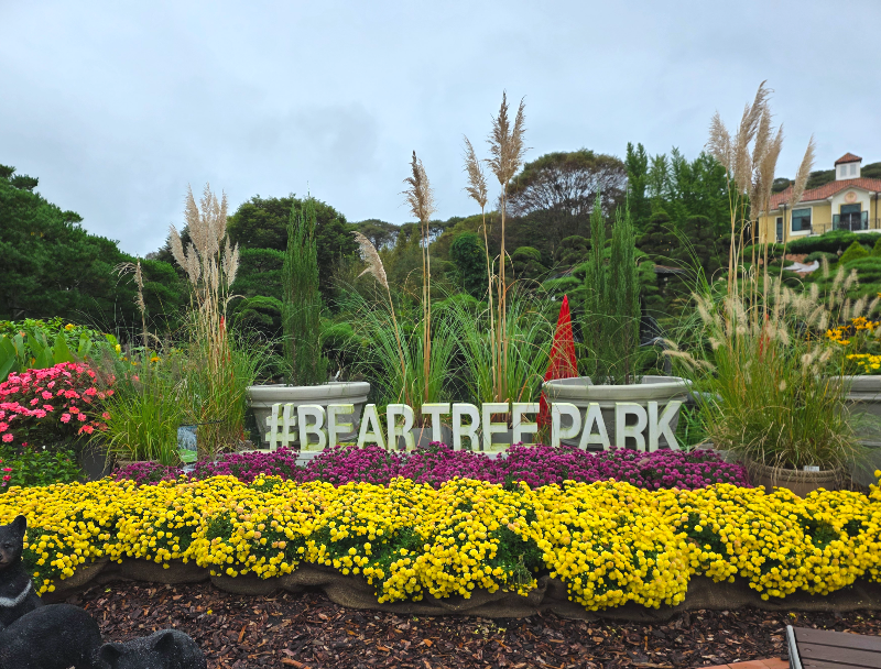 베어트리파크가 영어로 쓰여 있다