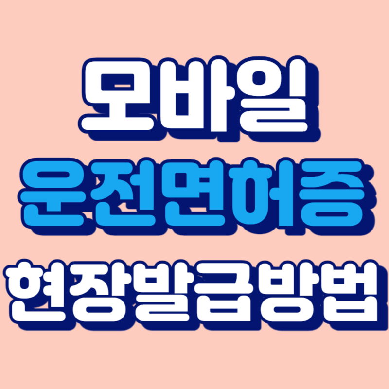 모바일 운전면허증 현장발급방법