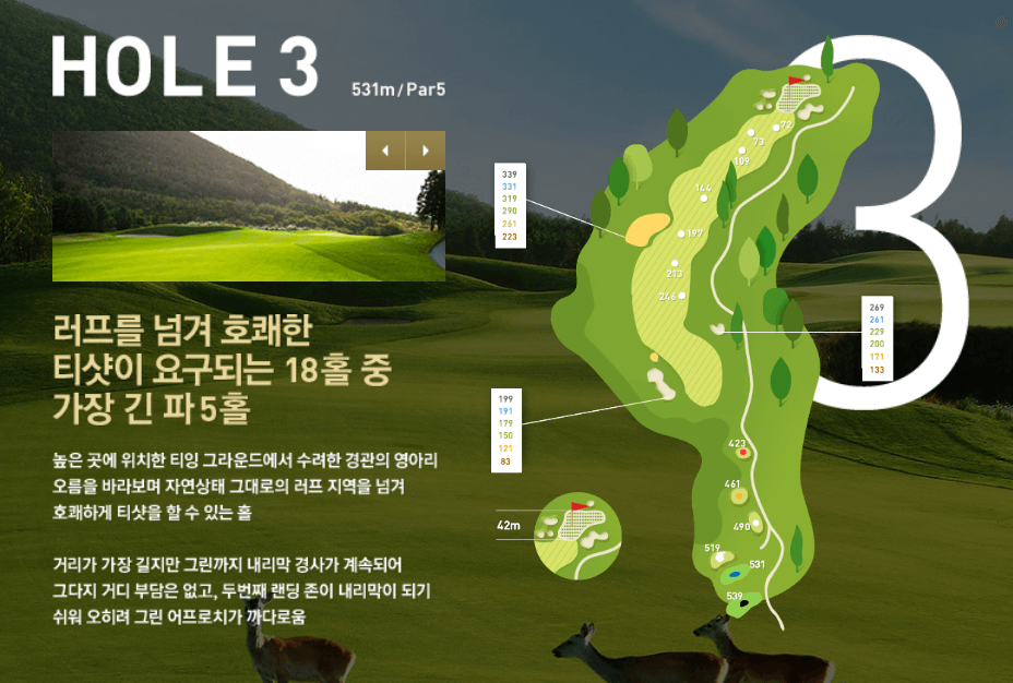 나인브릿지 CC의 코스 공략도 12