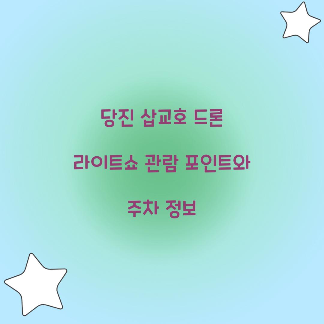 당진 삽교호 드론 라이트쇼