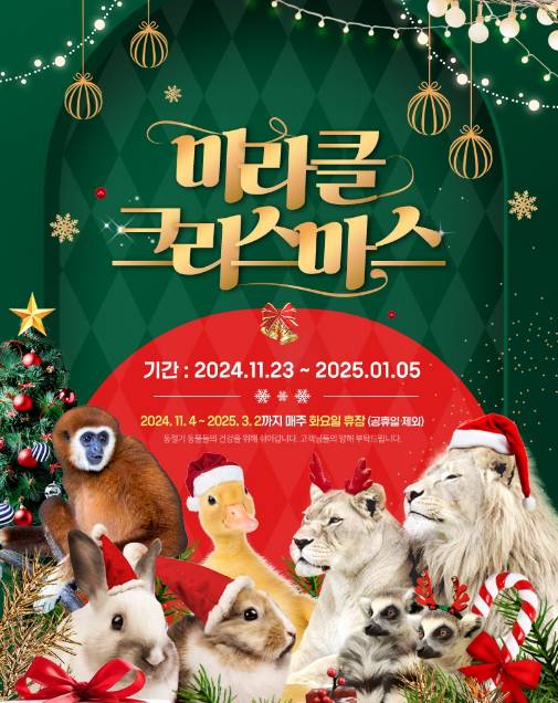 네이처파크 미라클 크리스마스 일정 포스터