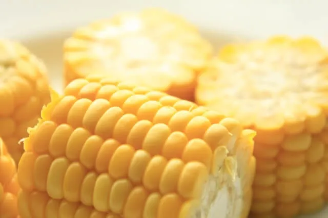 세포 보호에 도움을 주는 옥수수