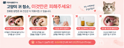 집사가 알려주는 고양이 귀진드기부터 외이염까지 집에서 확인할 수 있는 귀 건강 관리법 귀가 가려운 이유