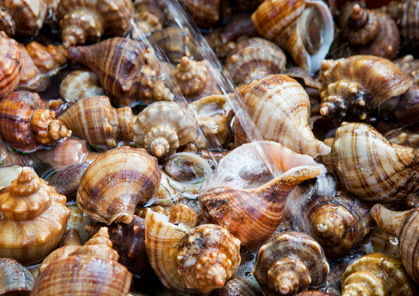 3월에 먹으면 좋은 제철 음식의 종류 Top 10 (봄철 음식) 두릅 냉이 쭈꾸미 취나물 씀바귀 바지락 달래 소라 부추 쑥