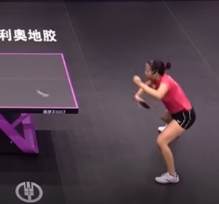 pingpong