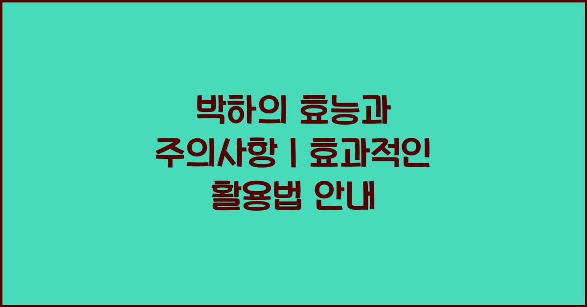 박하의 효능