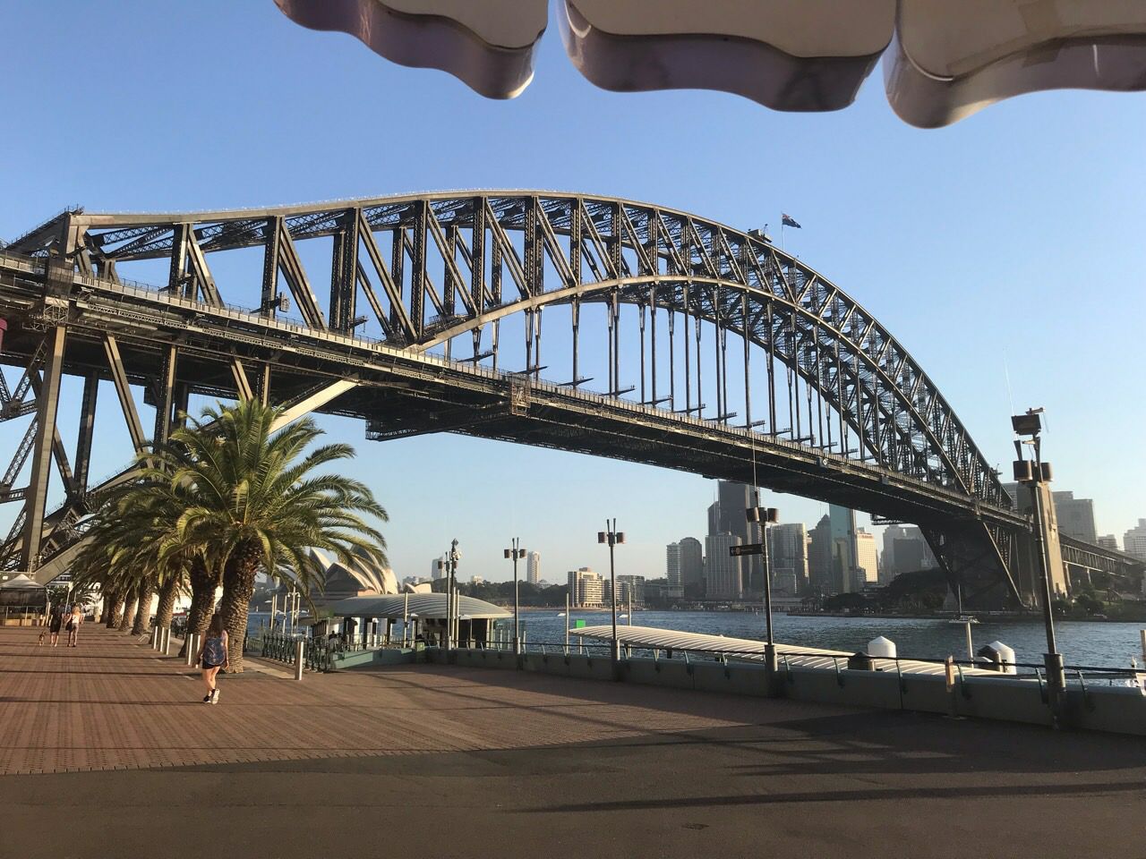페리를 타고 갈 수 있는 밀슨스포인트에서 바라본 시드니