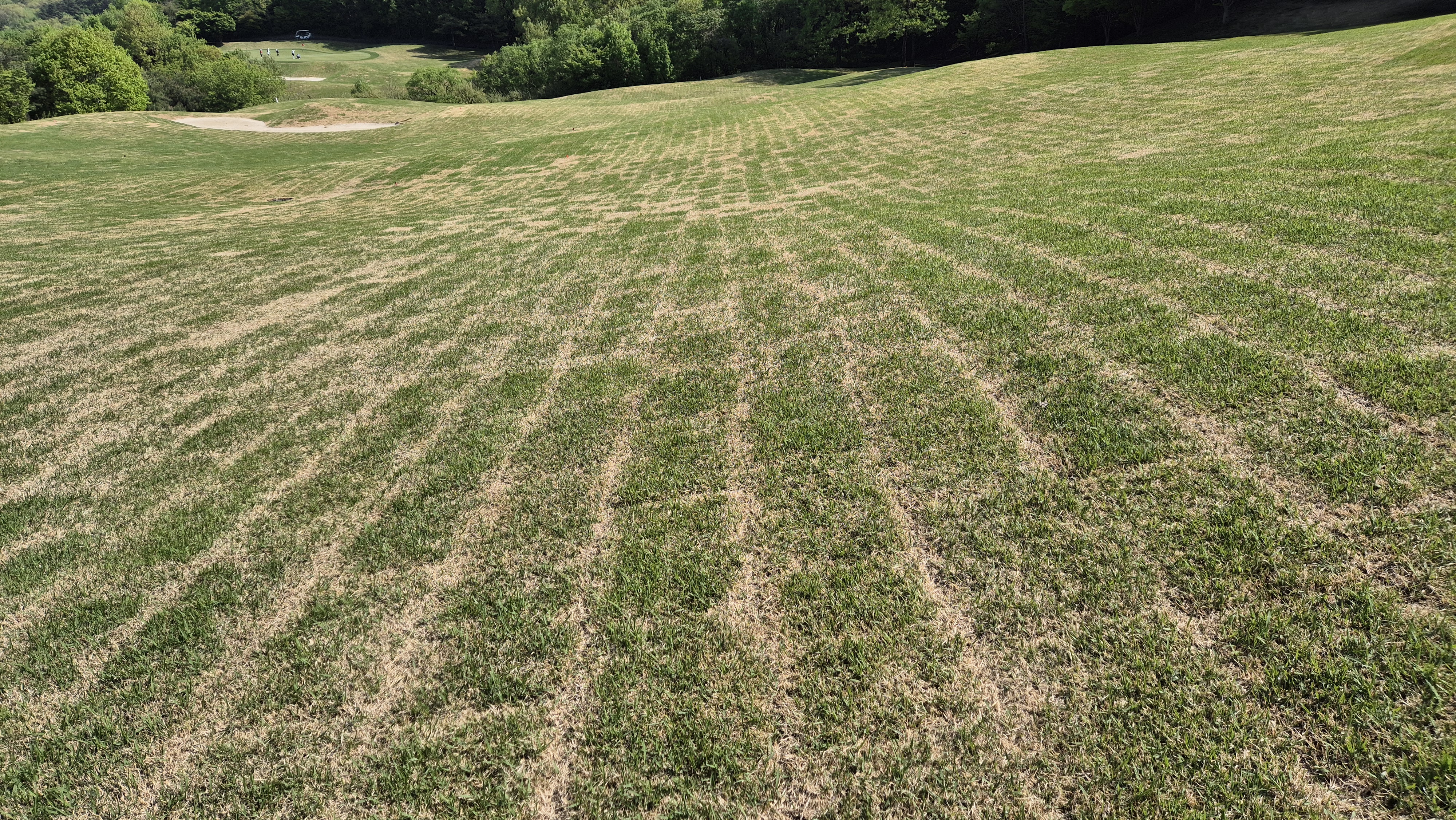 마에스트로cc 라운드 후기