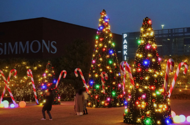 2024 수도권 크리스마스 명소 가볼만한곳