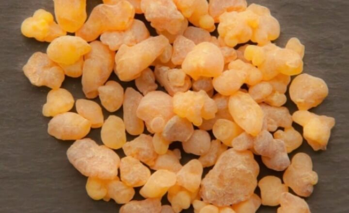 보스웰리아 부작용 피부발진