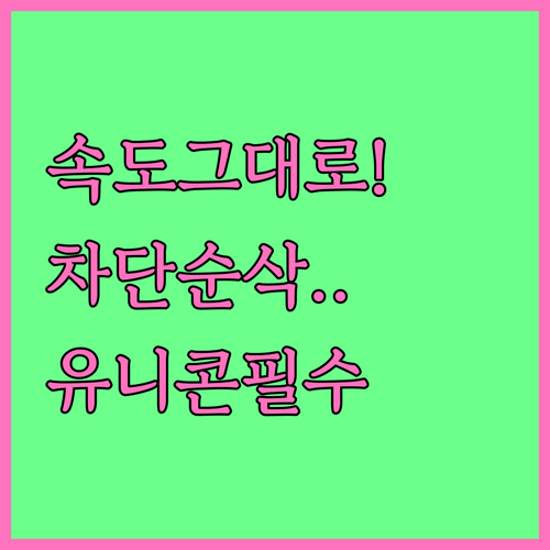 인터넷 속도 유지하며 차단 우회하는 ..