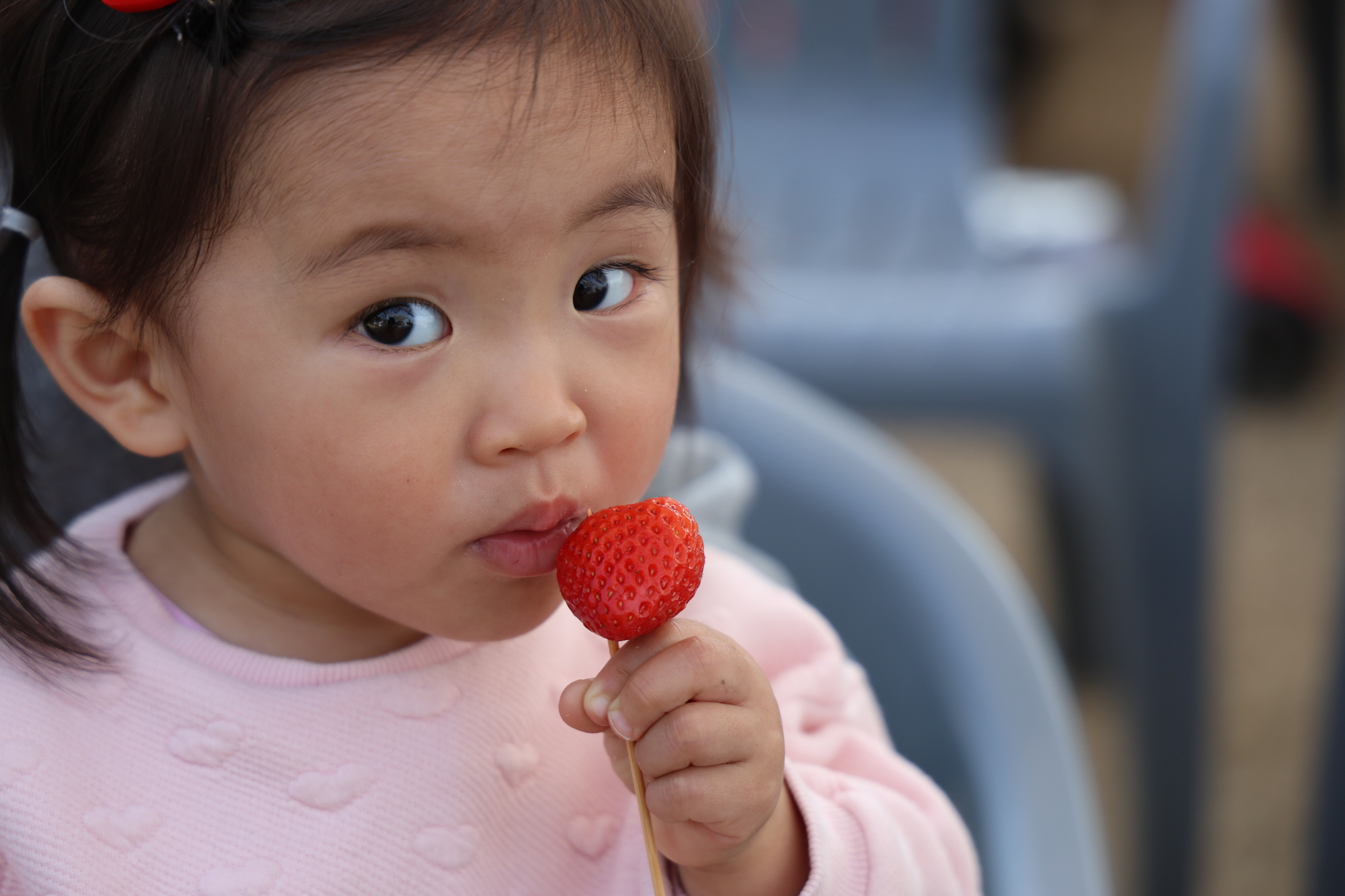 2025 논산딸기축제 : 일정, 체험, 가격, 볼거리, 주차까지 총정리!