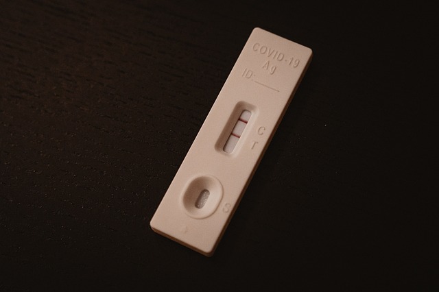 니파바이러스 증상 및 예방법