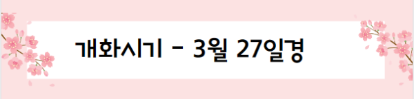 봄꽃 여행지