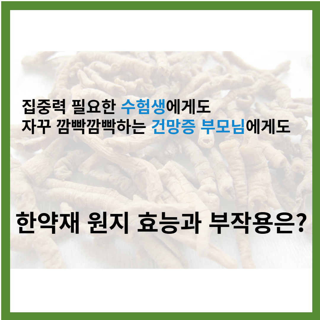 한약재-원지-효능-부작용