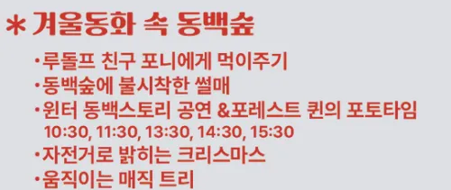 에코랜드 겨울 축제 프로그램 및 공연 시간표 (포니 먹이주기, 동백 썰매 정보)