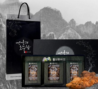 상황버섯