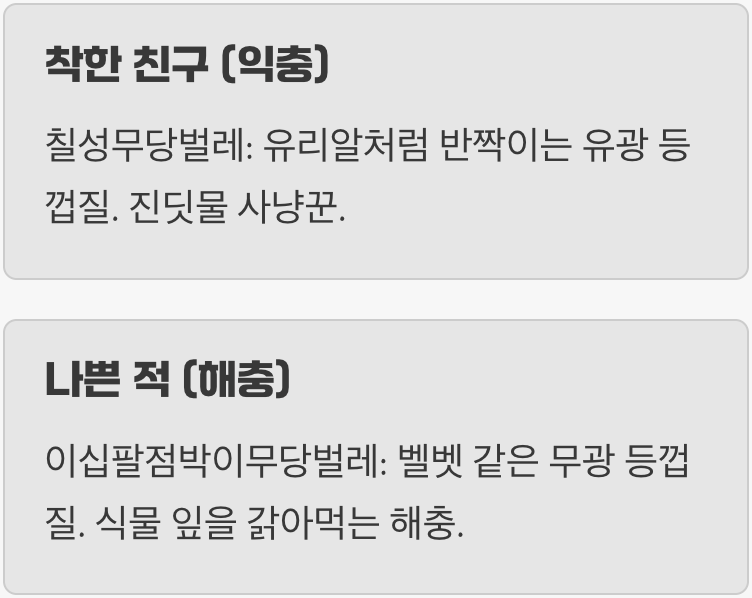 무당벌레 vs 무당벌레붙이, 친구와 적 구별하기