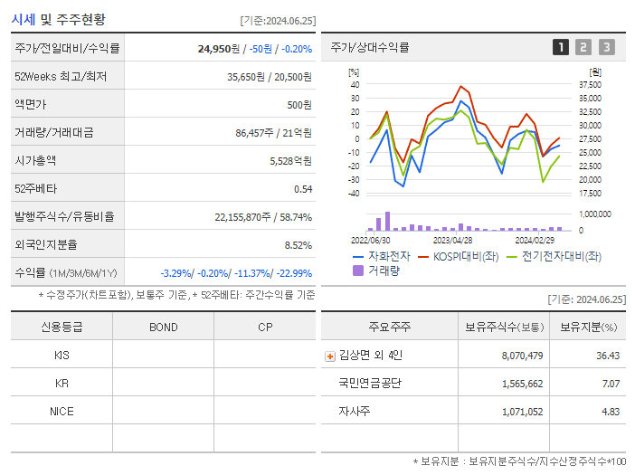 자화전자_기업개요