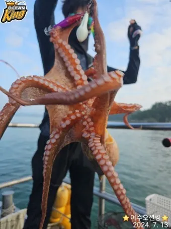 문어 삶는법 문어 요리 레시피_22