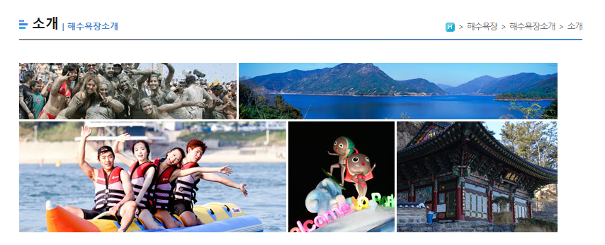 대천해수욕장 개장일 폐장일