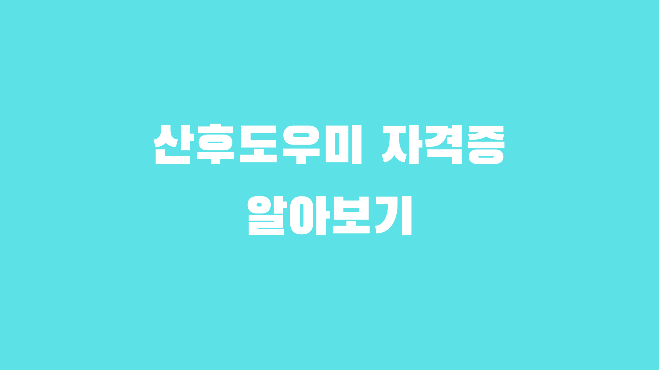 산후 도우미 자격증