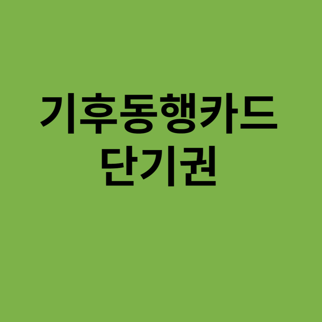기후동행카드 단기권 청년카드