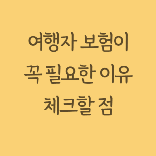 여행자보험 체크 관련사진