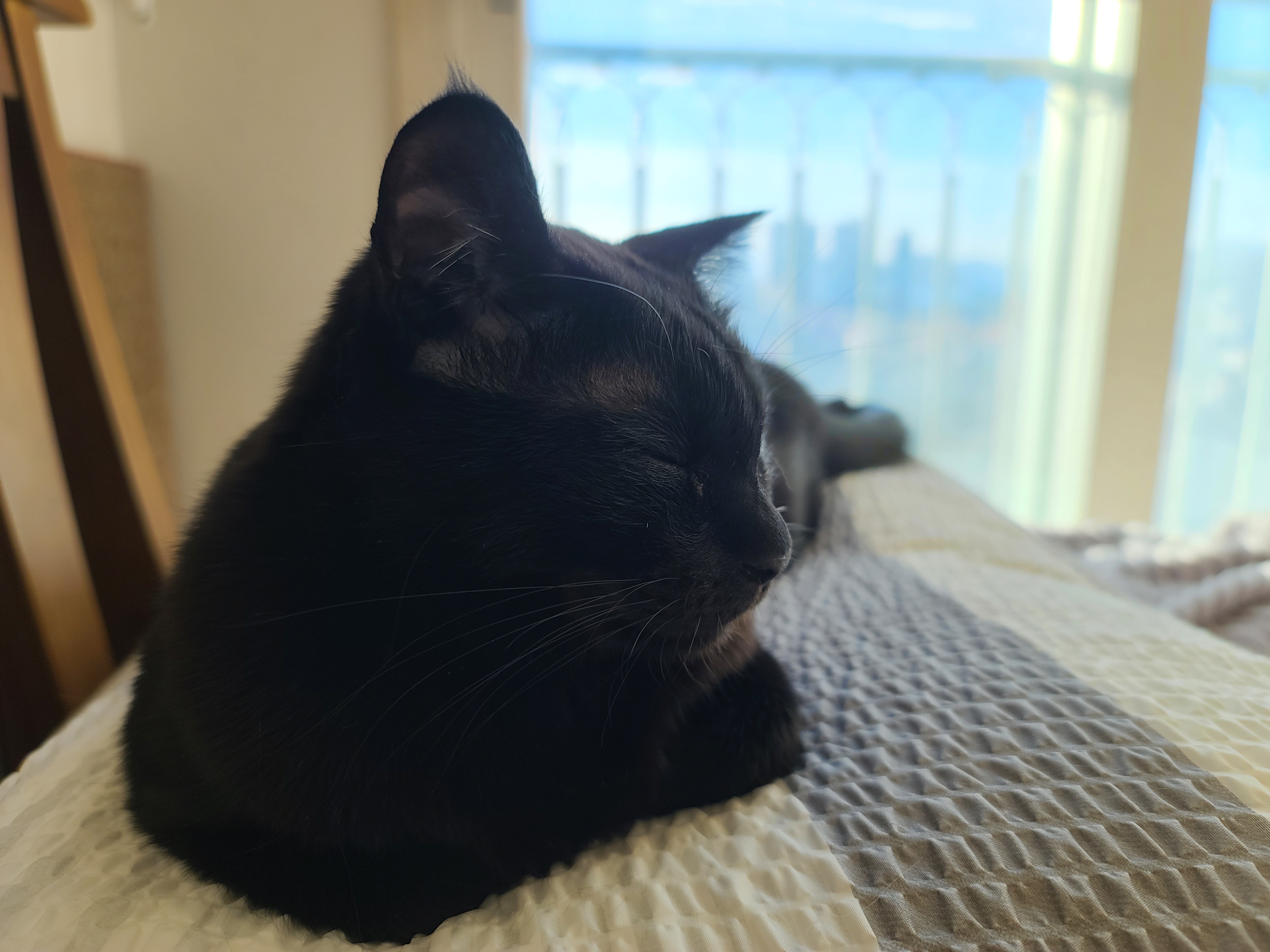 엄마랑 손잡고 잘래...?