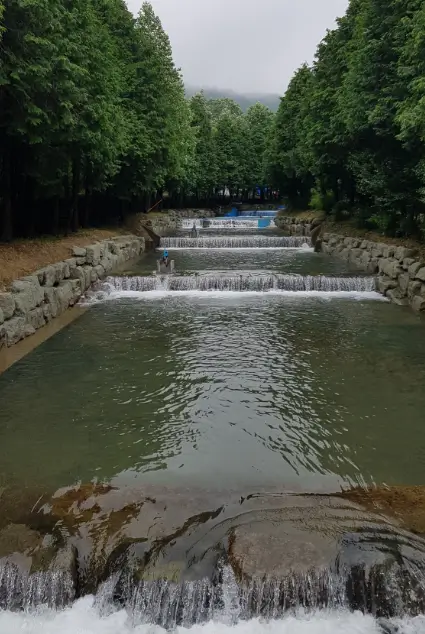 강진 초당림 물놀이장