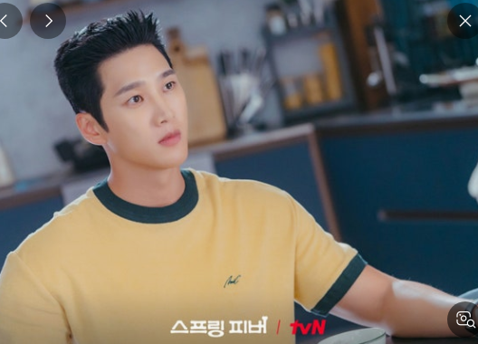 스프링-피버-기본-정보-등장인물-뜻-ott