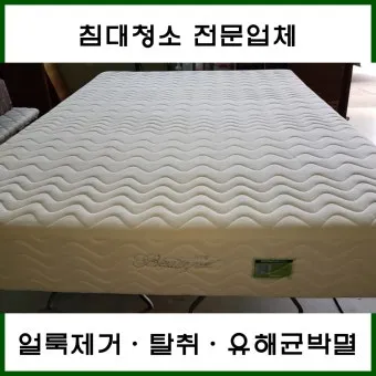 매트리스 관리 청소기 베이킹소다 회전주기 방수커버 팁_14