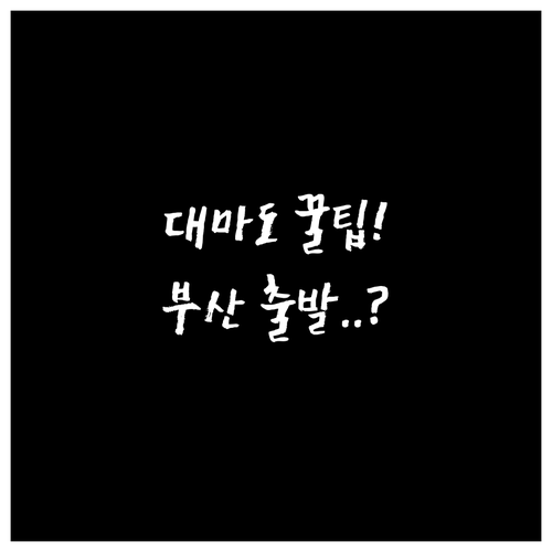 부산 출발 대마도 여행 준비부터 코스..