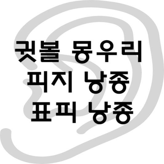 귓볼 몽우리