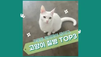 고양이 갑상선 기능 항진증 원인 증상 수치 관리법 총정리 정리자료_9