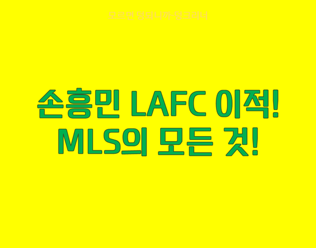 손흥민 메이저리그사커 진출