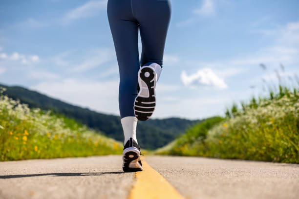 2026 고양하프마라톤 본접수 일정 예매 방법 코스