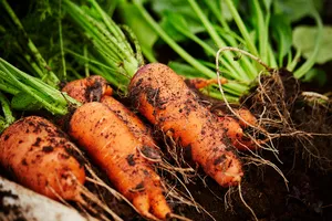 여드름-흉터-없애는법