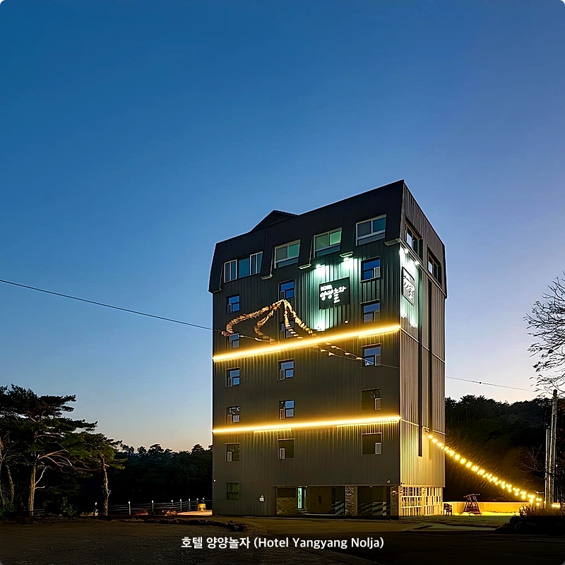 호텔 양양놀자 (Hotel Yangyang Nolja)_1
