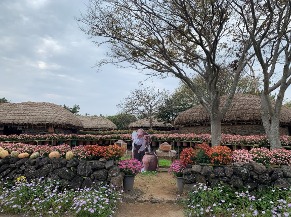 제주민속촌 국화축제