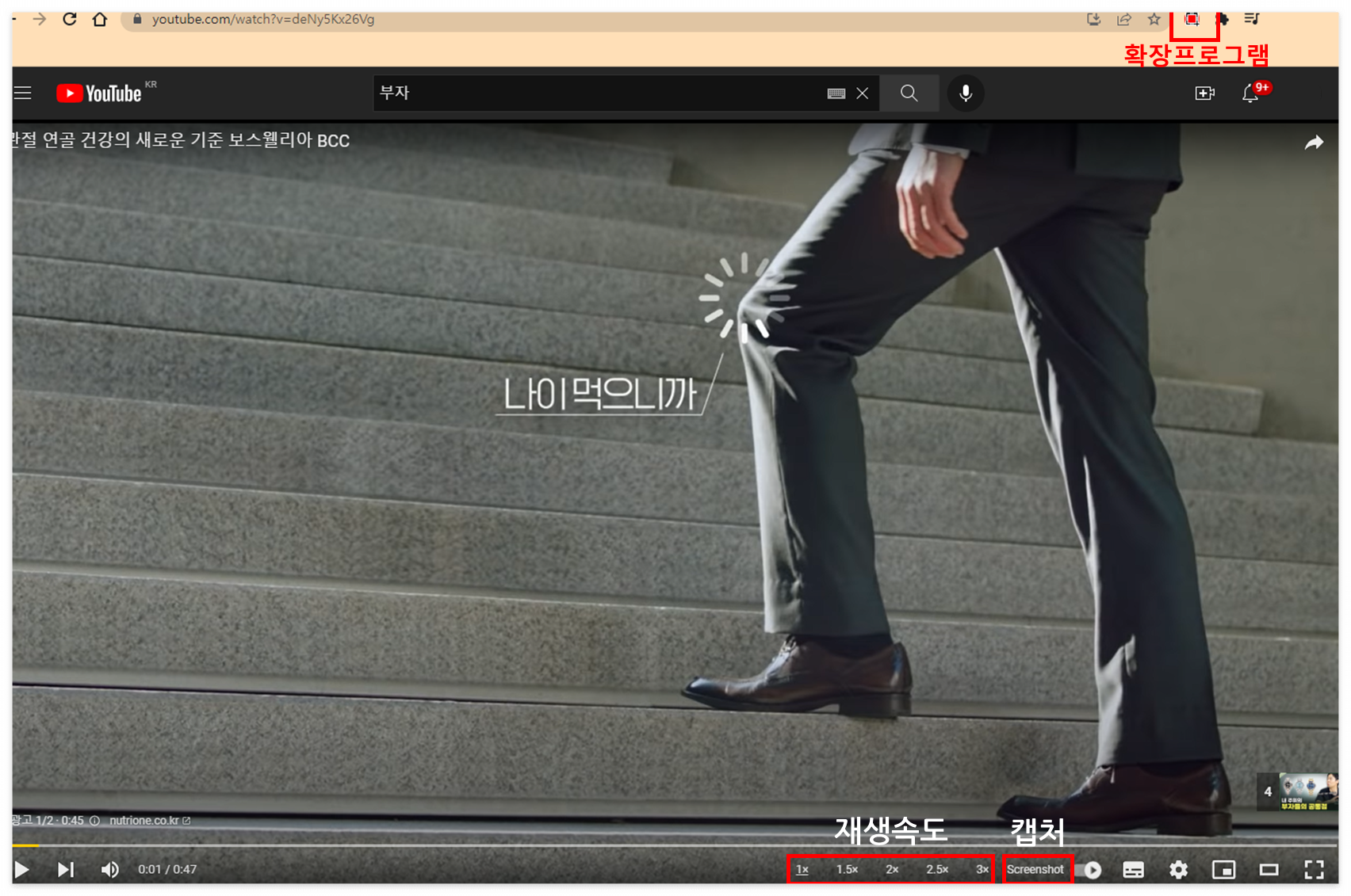 ์ ํ๋ธ ์์ ์บก์ณ ํ๋ก๊ทธ๋จ